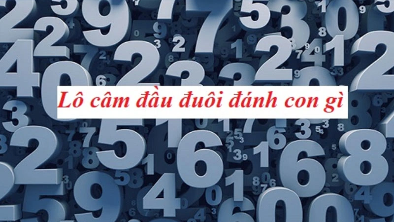 Hướng dẫn cách chơi lô câm hiệu quả cho lô thủ chuẩn xác từ chuyên gia