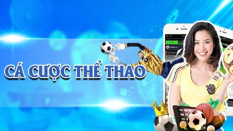 Giới thiệu về sảnh cá cược thể thao K8bet